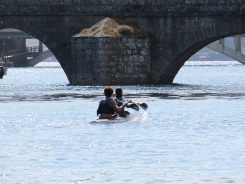 img 8378 54651671507 l